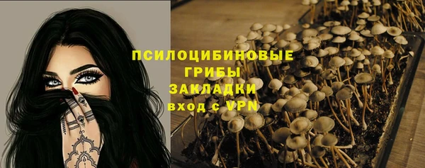 дурь Нея