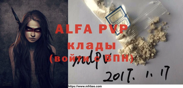 гидра Шадринск