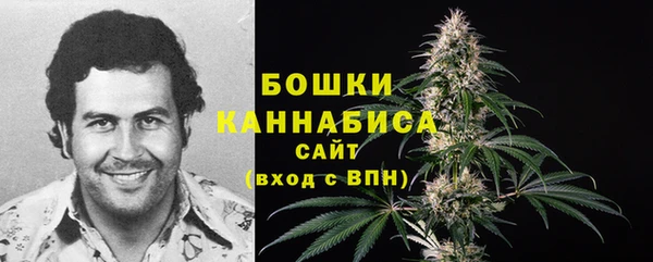 дурь Нея