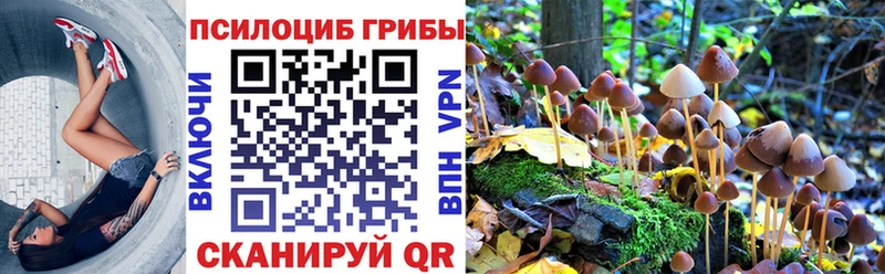 Псилоцибиновые грибы мухоморы Разумное